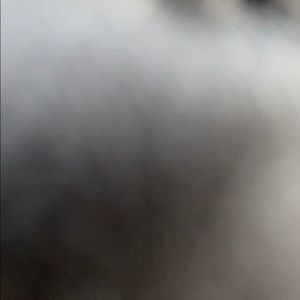 Meet your Posher, Diana